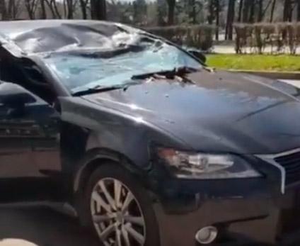 Сухое дерево упало на дорогой «Лексус» в Пятигорске. Видео